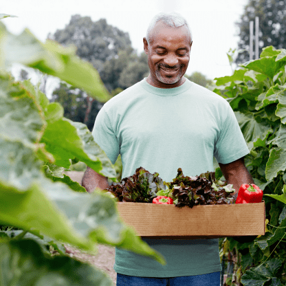 Man in a garden holding a bin of vegetables.